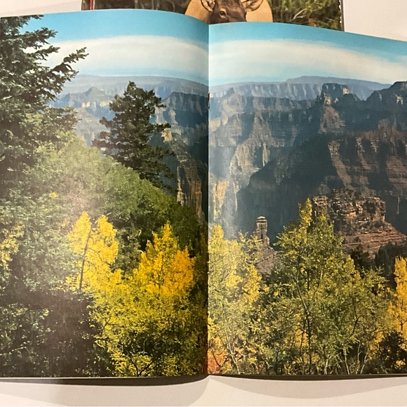 Vintage Lot of 5 Arizona Highways Magazines 1954, 1956, 1961, and 19062 - Picture 13 of 16